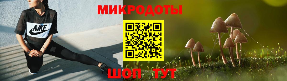 наркотики  Вход с VPN  Аргун  Галлюциногенные грибы GOLDEN TEACHER 
